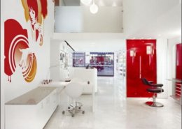 Lacquered Glass